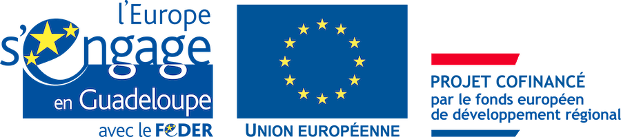 Logo FEDER UE